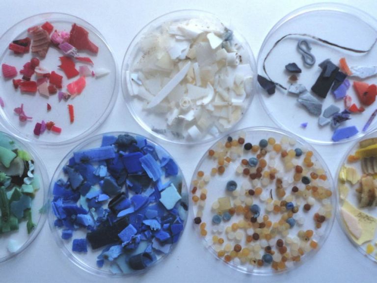 Χιλιάδες μικροπλαστικά καταλήγουν στον οργανισμό μας – Πώς επηρεάζονται τα έμβρυα