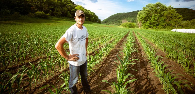 Παραμένει πρόκληση η γήρανση των ευρωπαίων αγροτών 