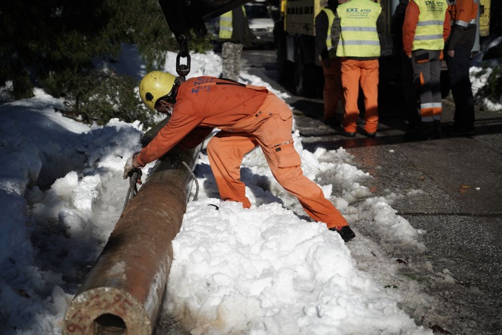 Χωρίς ρεύμα γιατί υπάρχει γραφειοκρατία και στα… δέντρα