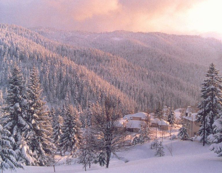 Περτούλι Τρικάλων : Ο πύργος Χατζηγάκη και το μαγευτικό ελατόδασος