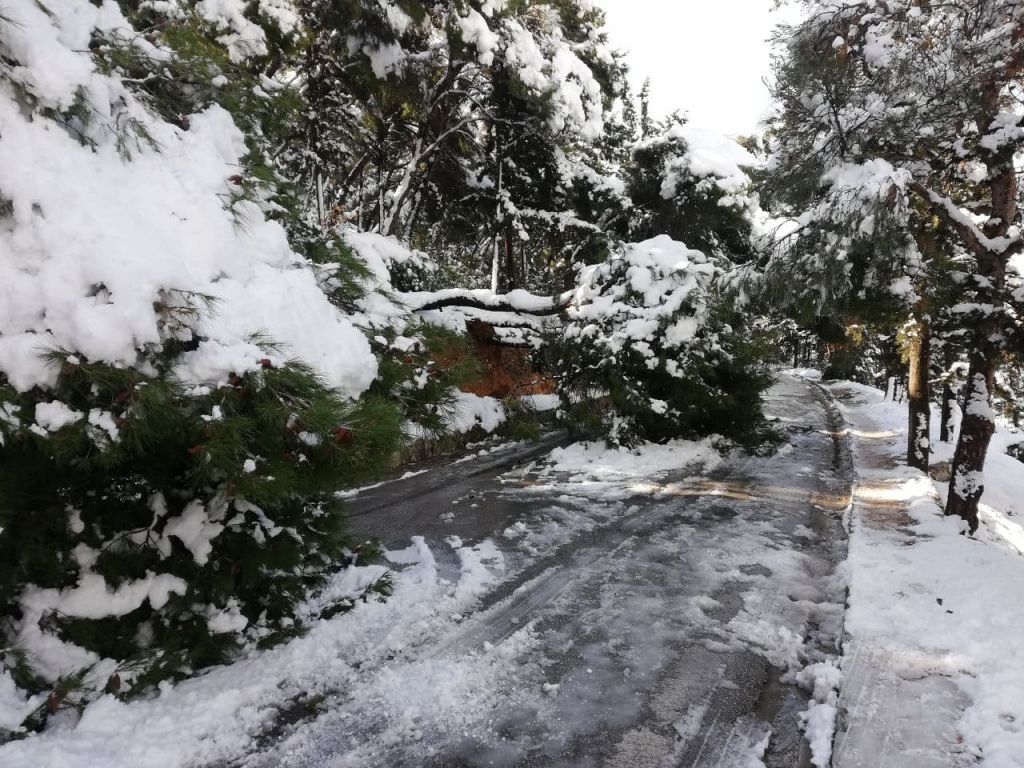 ΔΕΔΔΗΕ: Aποκατάσταση των ζημιών σε 15 γραμμές Μέσης Τάσης