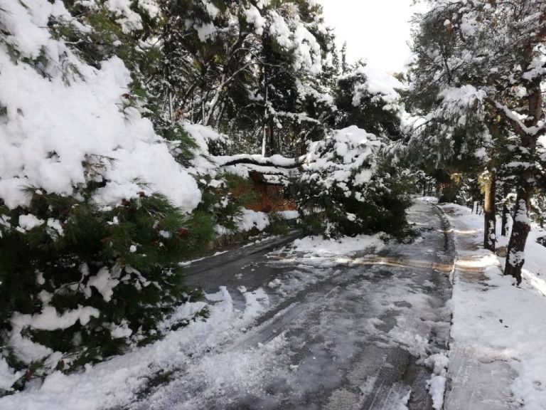 ΔΕΔΔΗΕ: Aποκατάσταση των ζημιών σε 15 γραμμές Μέσης Τάσης
