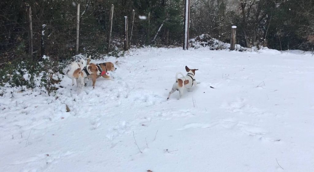Η ελπιδα του χιονιού