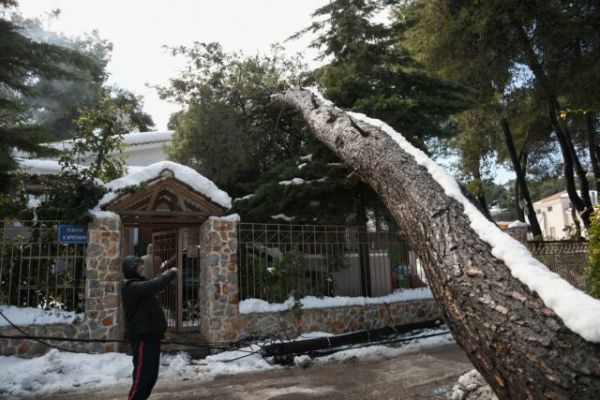 ΔΕΔΔΗΕ : Αφαιρεί τη χρέωση δικτύου διανομής από όσους έπληξε η κακοκαιρία