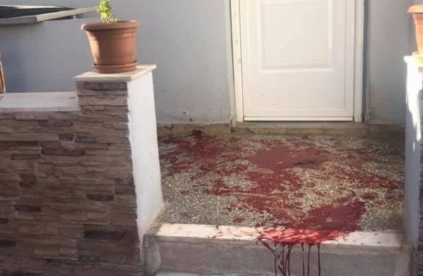 Πετρούπολη : Χτύπησαν με βέλος σκύλο ενώ καθόταν στην αυλή του σπιτιού του κηδεμόνα του