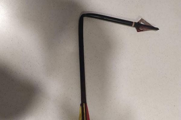 Πετρούπολη : Πέθανε ο σκύλος που χτύπησαν με βέλος -Συνεχίζεται η έρευνα για τον εντοπισμό του δράστη