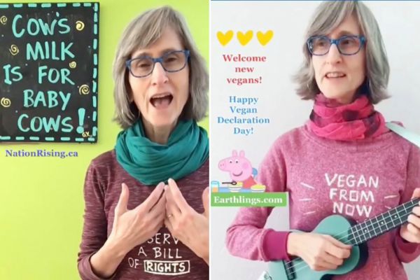 Vegan ακτιβίστρια απομακρύνεται από το TikTok μετά από καταγγελίες για ρατσισμό