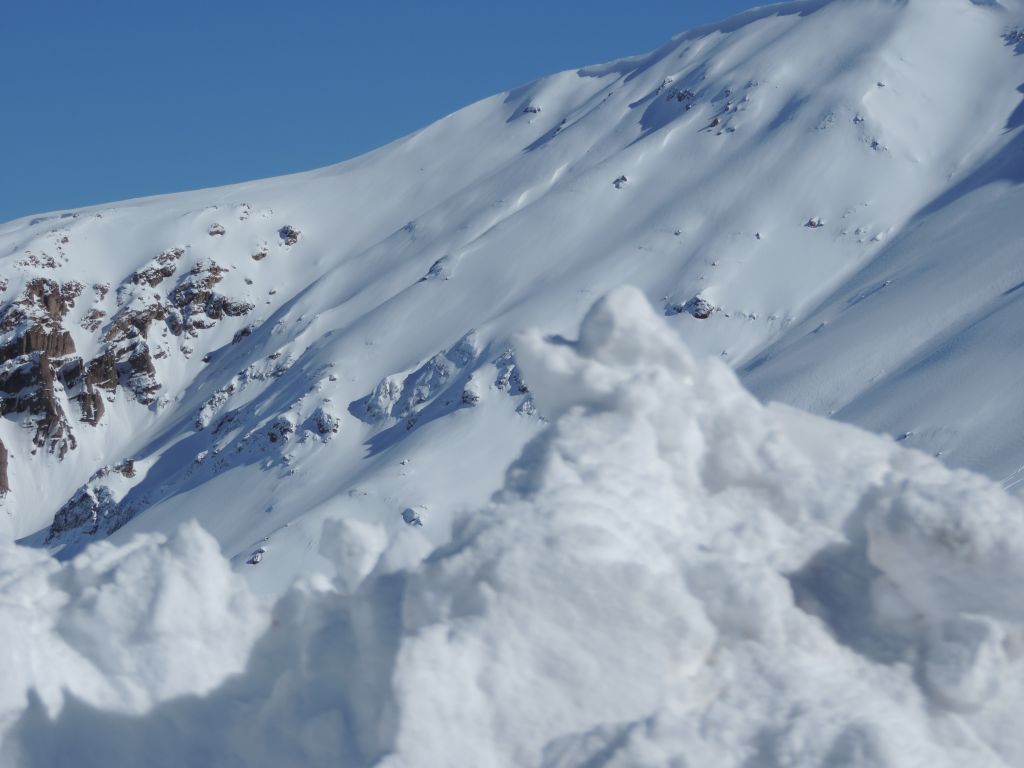 Ελβετία : Σώθηκαν από χιονοστιβάδα χάρη στα γαβγίσματα των σκύλων τους