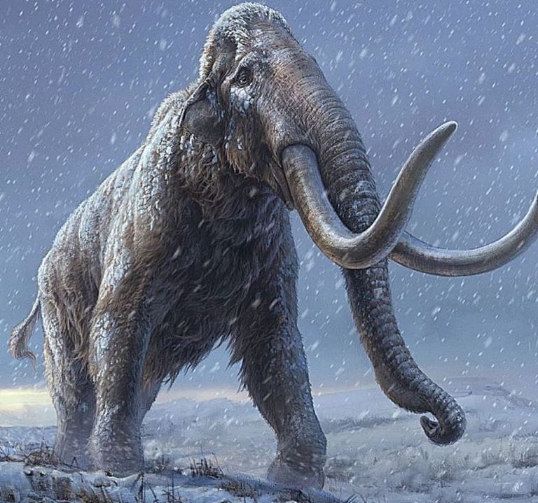 Επιστημονική ανακάλυψη : DNA χρονολογίας πάνω από 1.000.000 ετών βρέθηκε στη Σιβηρία