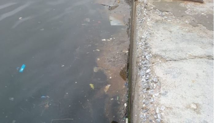 Θεσσαλονίκη : Γέμισε σκουπίδια ο Θερμαϊκός Κόλπος