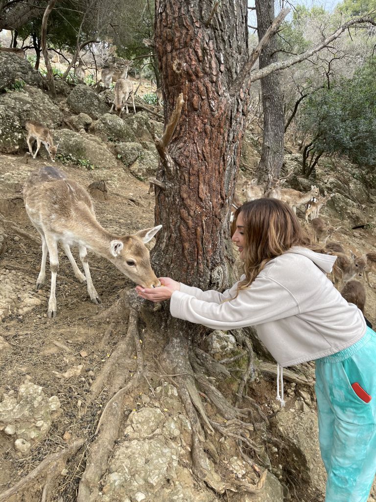 «My Greece» με την Δέσποινα Βανδή: Σάββατο 20 και Κυριακή 21 Μαρτίου στις 18:40 στο MEGA