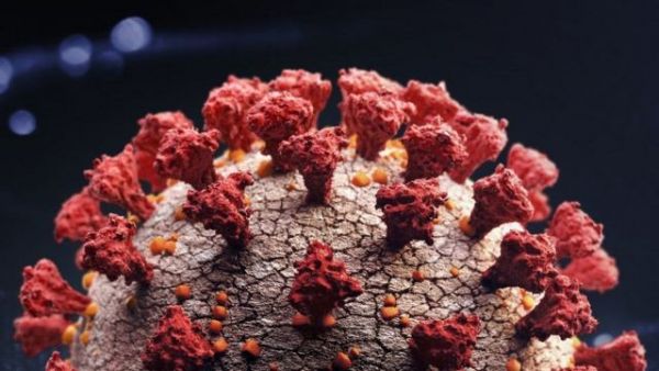 Μαγιορκίνης : Πώς εξηγείται η μεταδοτικότητα του Βρετανικού στελέχους