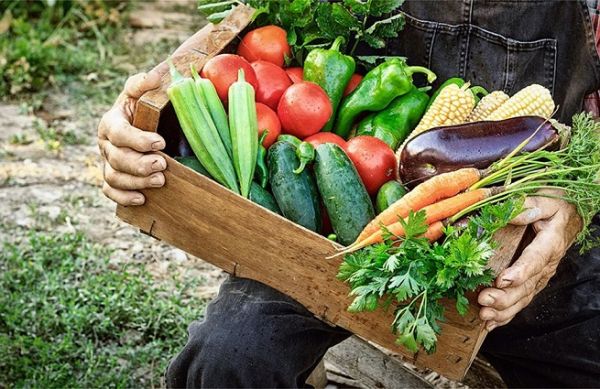 Μελέτη : Οι καταναλωτές εμπιστεύονται τους αγρότες