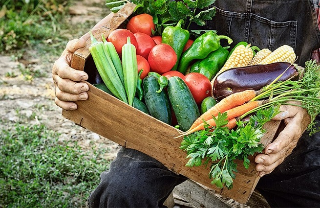 Μελέτη : Οι καταναλωτές εμπιστεύονται τους αγρότες