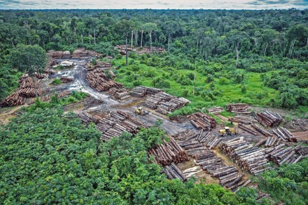 Προστατευόμενες εκτάσεις του Αμαζονίου «πωλούνται μέσω Facebook»