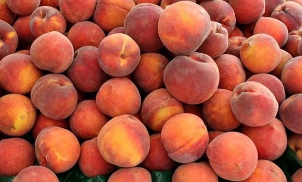 Λιβανός: Ενισχύσεις de minimis, ύψους 8,5 εκατ. ευρώ για τους παραγωγούς ροδάκινων