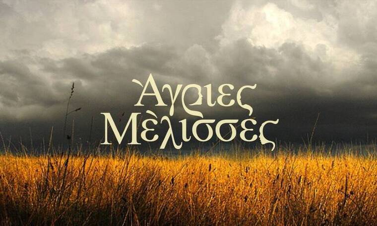 Άγριες Μέλισσες spoiler: Ζήλιες στο Διαφάνι – Το νέο πρόσωπο που προκαλεί αναστάτωση