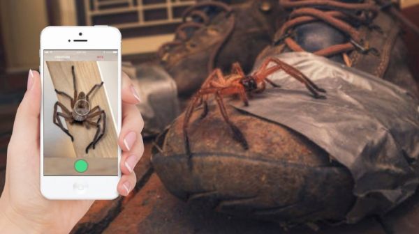 Αυτή η εφαρμογή αναγνωρίζει φίδια και αράχνες και σου λέει αν είναι επικίνδυνα