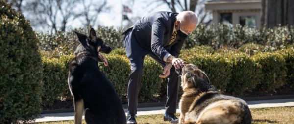 ΗΠΑ : «Εξορίστηκαν» από το Λευκό Οίκο τα σκυλιά του Μπάιντεν – Το ένα δάγκωσε μέλος του προσωπικού ασφαλείας