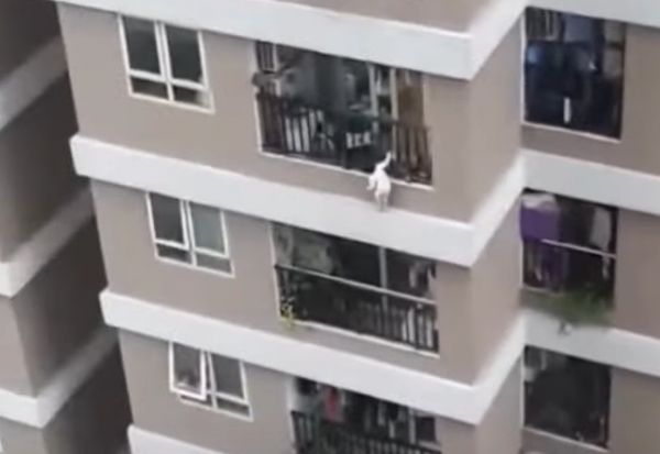 Βιετνάμ : Βίντεο που κόβει την ανάσα – Περαστικός σώζει κοριτσάκι που έπεφτε από το 12ο όροφο