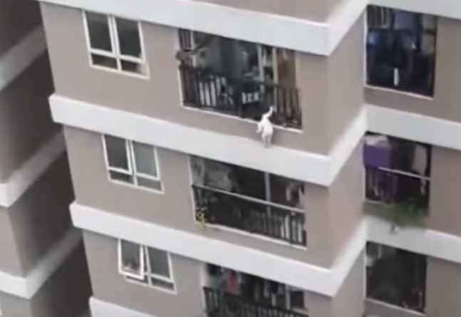 Βιετνάμ : Βίντεο που κόβει την ανάσα - Περαστικός σώζει κοριτσάκι που έπεφτε από το 12ο όροφο