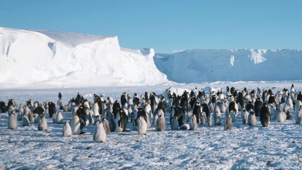 Ανταρκτική : Τι είναι αυτό που έχει τρομοκρατήσει τους περιβαλλοντολόγους