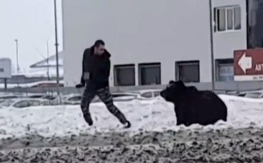 Σιβηρία : Άνδρας σώθηκε από τα νύχια μιας αρκούδας που τον κυνηγούσε στη μέση του δρόμου