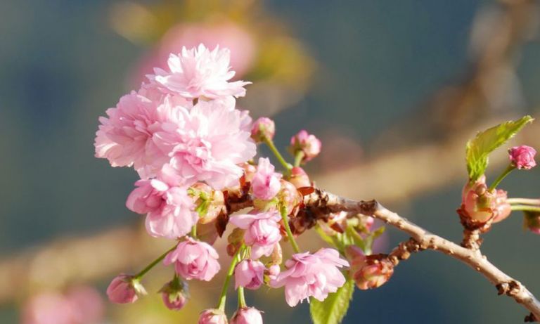 Άνοιξη 2021 : Εαρινή ισημερία σήμερα και η μέρα μεγαλώνει κι άλλο