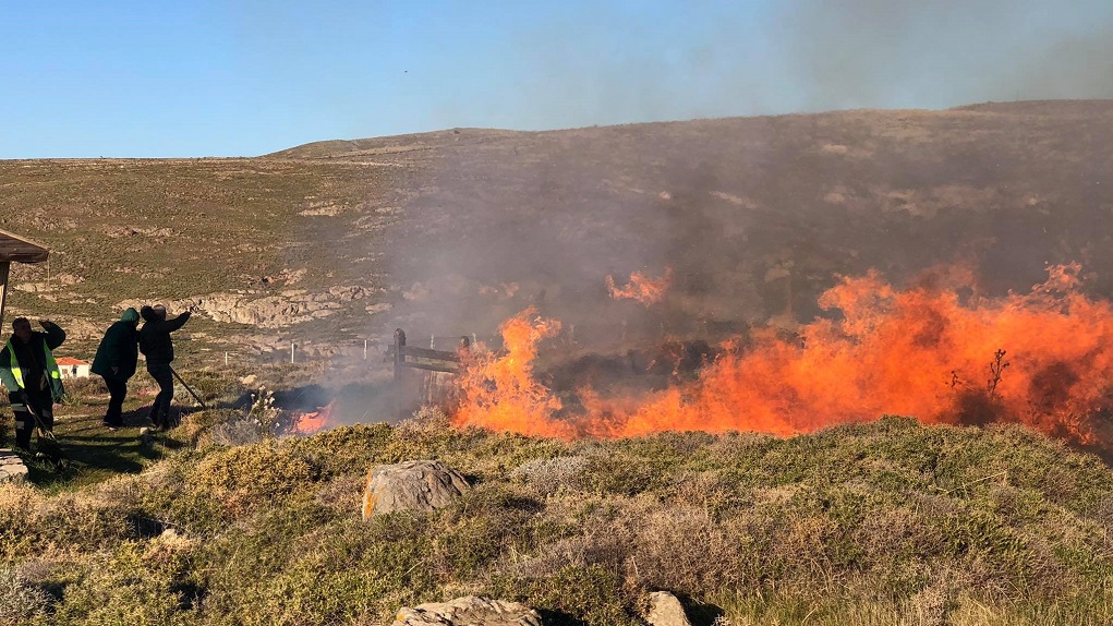 Λέσβος : Φωτιά απείλησε το απολιθωμένο δάσος Σιγρίου