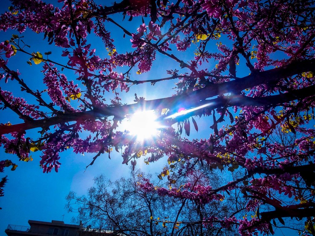 Καιρός : Ηλιοφάνεια και άνοδος της θερμοκρασίας