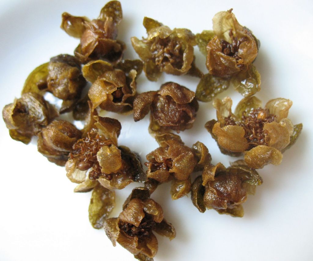 Άλλο η κάπαρη και άλλο η τηγανητή κάπαρη – Δοκιμάστε τη τώρα