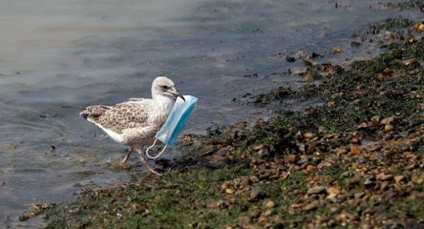 Πριν πετάξεις την μάσκα #κόψετολαστιχάκι