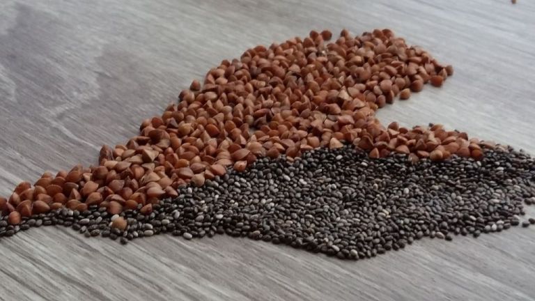 Η διατροφική αξία των κτηνοτροφικών οσπρίων στις ιχθυοτροφές