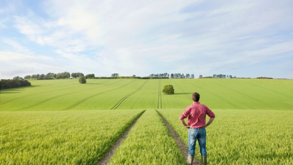 Σχέδια Βελτίωσης με κατεύθυνση στην ψηφιακή και πράσινη γεωργία