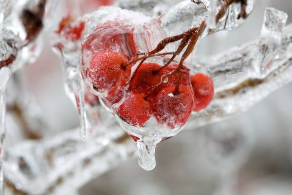 Οι φυσικές καταστροφές επιβαρύνουν σοβαρά τα αγροτικά τρόφιμα