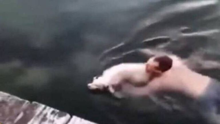 Θεσσαλονίκη : Βούτηξε στον Θερμαϊκό για να σώσει τυφλό σκυλάκι