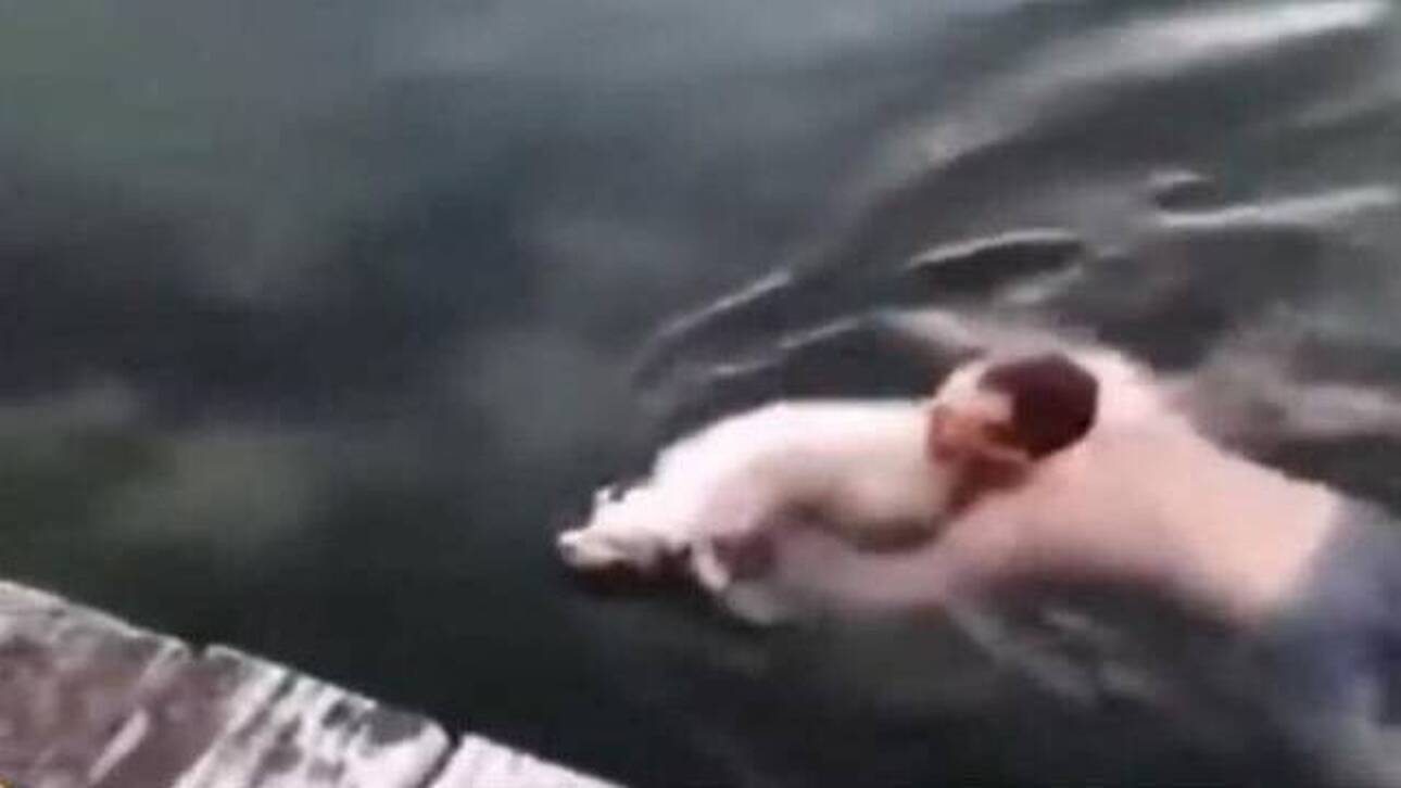 Θεσσαλονίκη : Βούτηξε στον Θερμαϊκό για να σώσει τυφλό σκυλάκι