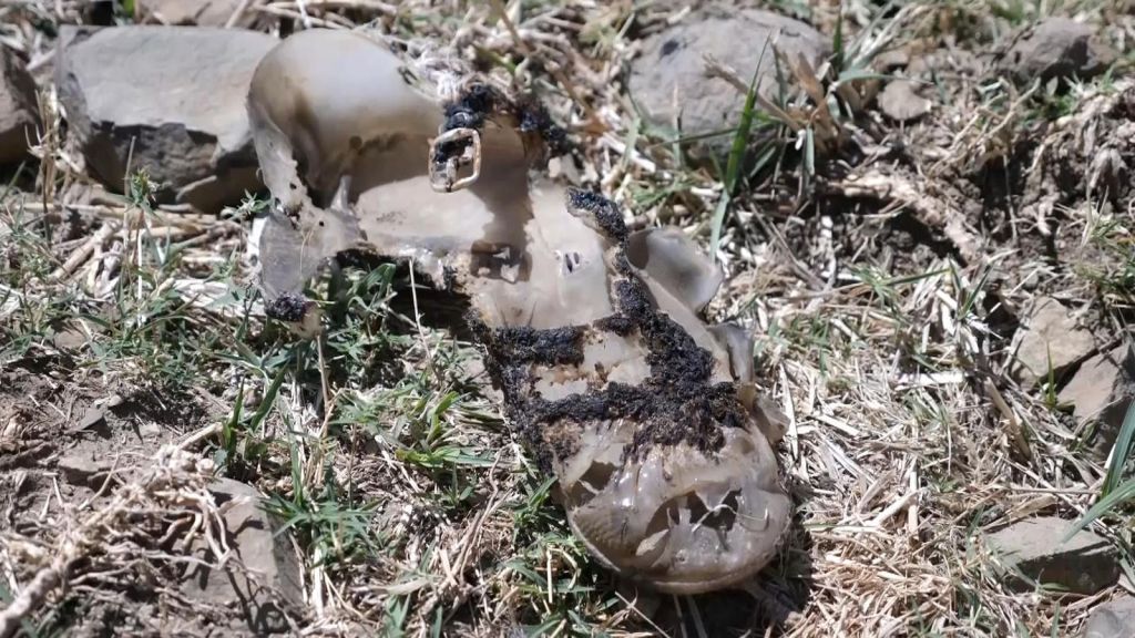 Ανατριχιαστική μαρτυρία των Γιατρών Χωρίς Σύνορα : Εκτέλεσαν άμαχους μπροστά στα μάτια μας