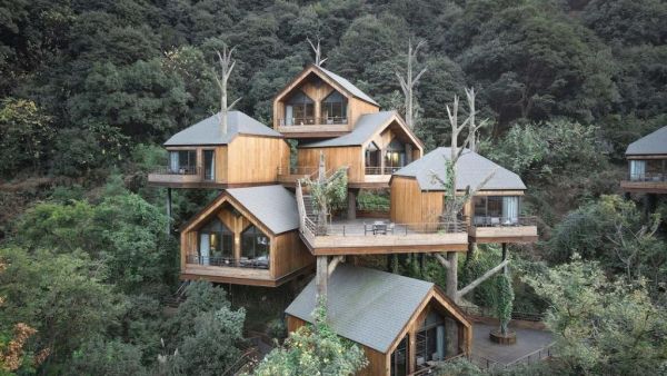 Δενδρόσπιτο ή  ξενοδοχείο πέντε αστέρων;