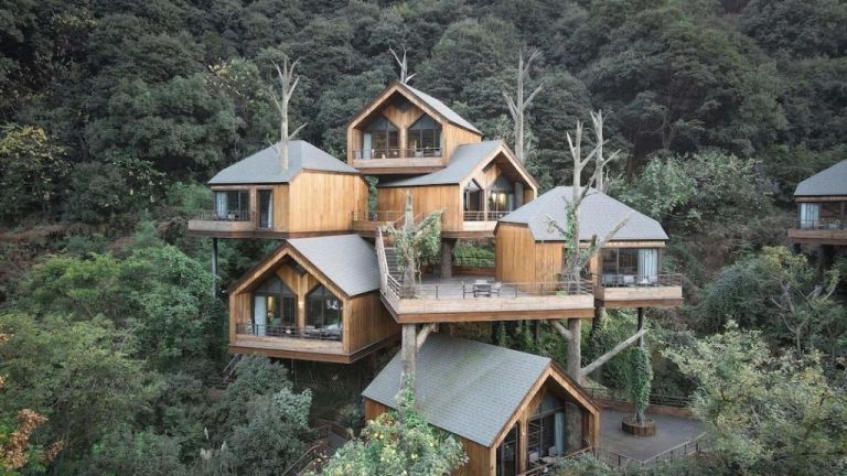 Δενδρόσπιτο ή  ξενοδοχείο πέντε αστέρων;