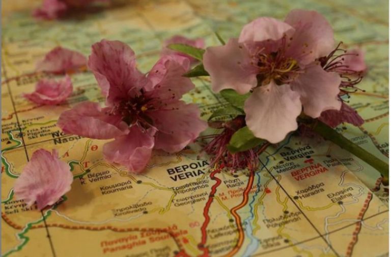 Το National Geographic αποθεώνει τις ανθισμένες ροδακινιές της Ημαθίας