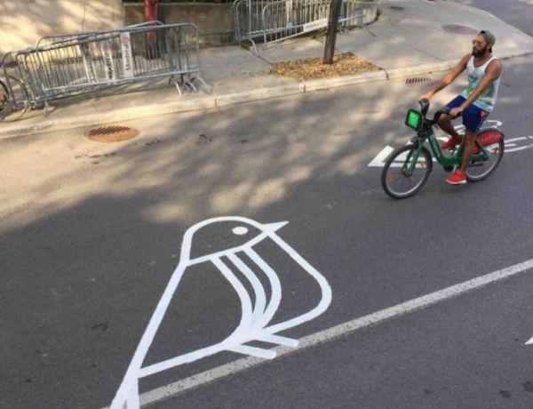 Πουλιά και άλλα «ασήμαντα» πλάσματα στους δρόμους του Μόντρεαλ