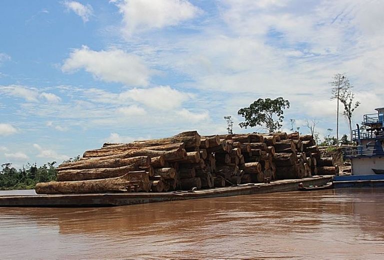 Άμαζόνιος : Ξεσηκώθηκαν οι αυτόχθονες και κάνουν αγωγή σε μεγάλη αλυσίδα τροφίμων