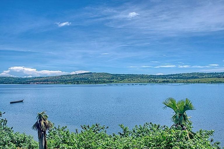 Δείτε τα πέντε μακρύτερα ποτάμια της Γης και σε ποιες χώρες βρίσκονται