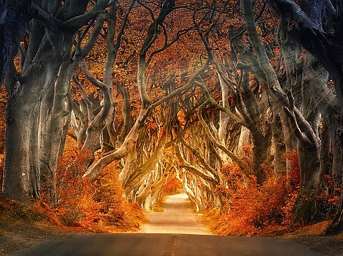 Ιρλανδία : Πλάνα από drone που δείχνουν από ψηλά τα πανέμορφα και καταπράσινα τοπία της νήσου