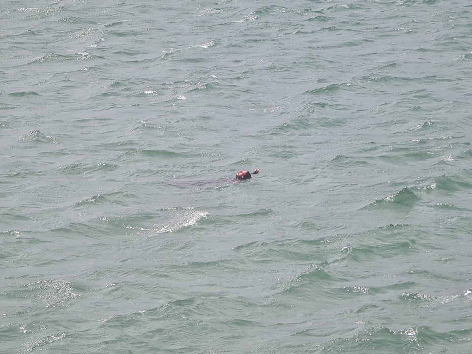 Μυτιλήνη : Μετανάστης βρέθηκε να κολυμπά στο λιμάνι