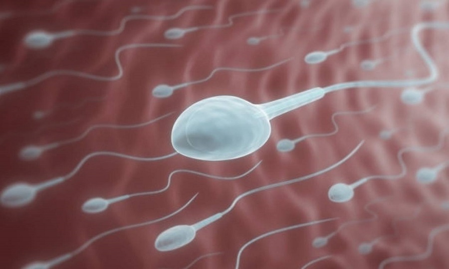 Σουηδία : Η χώρα αντιμετωπίζει έλλειψη σπέρματος λόγω της πανδημίας