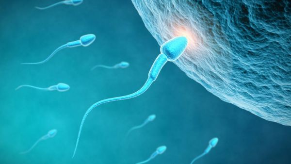 Σουηδία : Η χώρα αντιμετωπίζει έλλειψη σπέρματος λόγω της πανδημίας