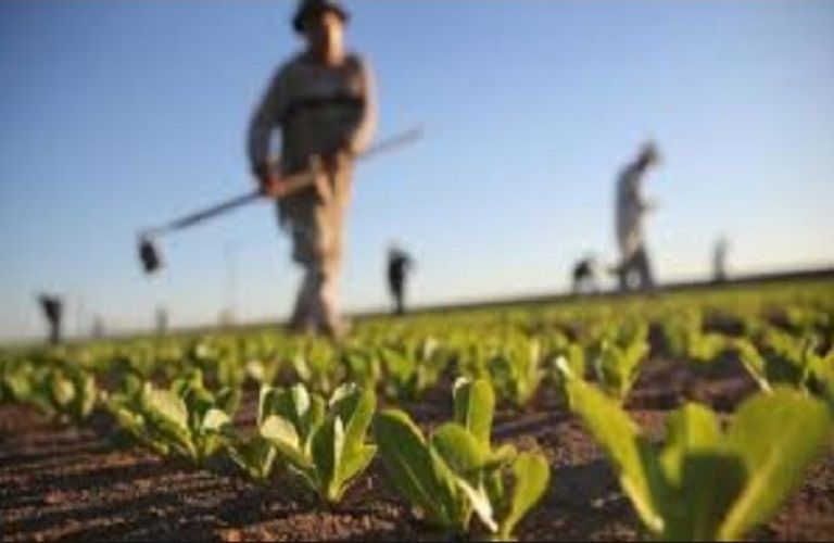 Τέλος επιτηδεύματος για τους αγρότες – Τι συζητείται