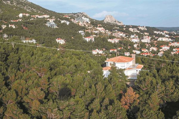 Δασικοί χάρτες : 33 μυστικά για να προστατέψετε την περιουσία σας